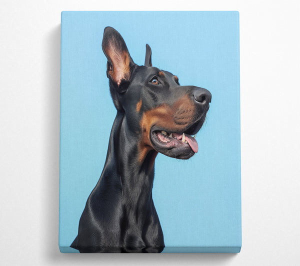 Doberman Blues