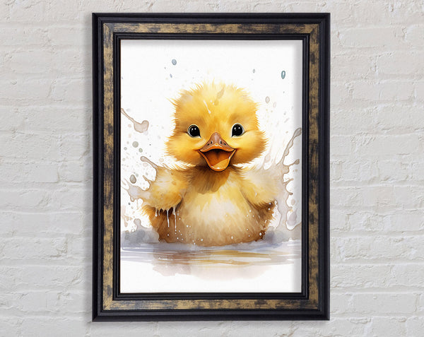 Duckling Splash