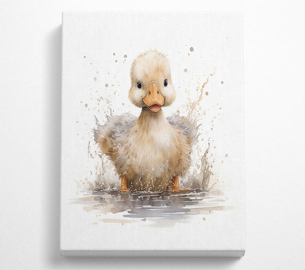 Duckling