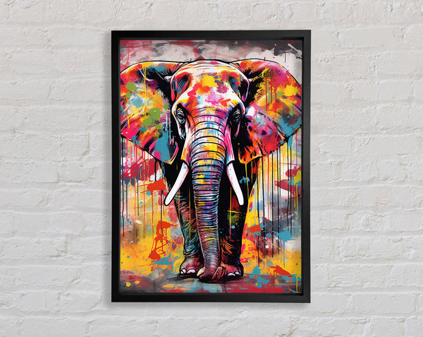 Elephant Paint Splash