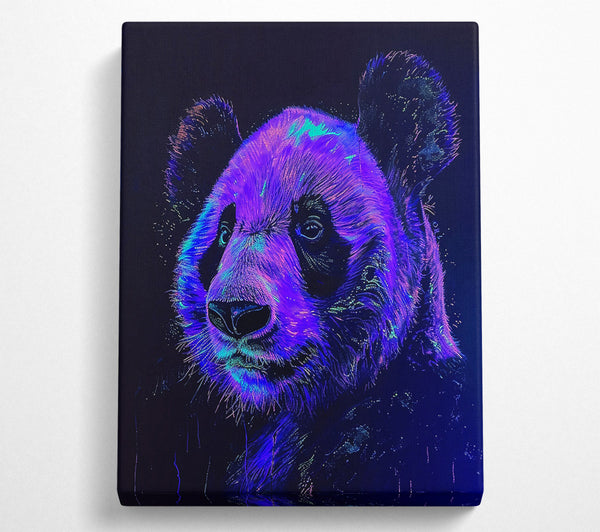 Purple Panda Glow