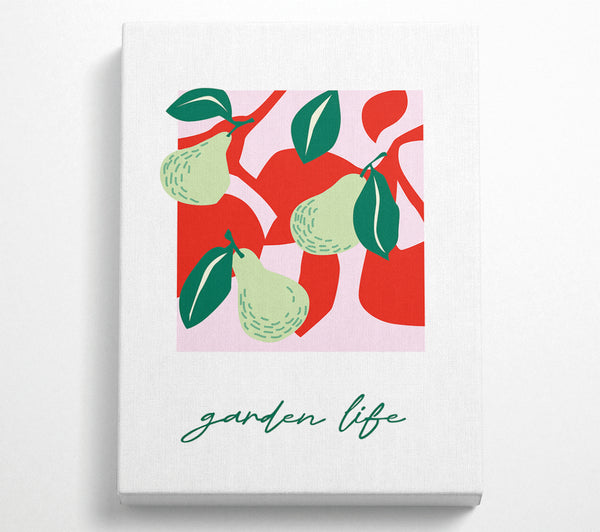 Garden Life