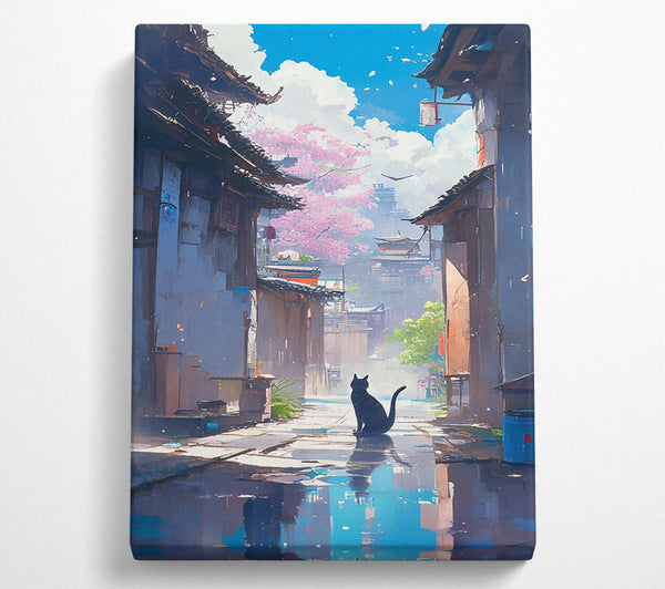 Blue Sky Alleyway Cat