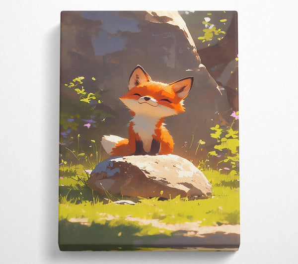 Orange Fox On Rock