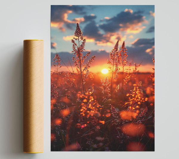 Golden Sunset Grass