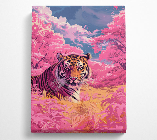 Pink Tiger Dream