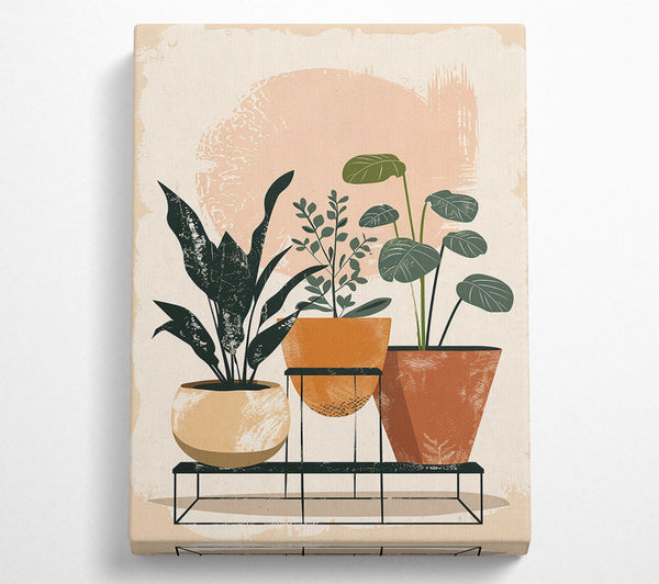 Peach Plant Stand