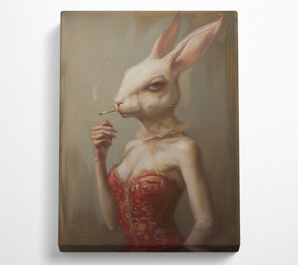 Red Corset Bunny