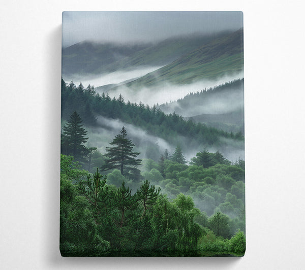 Emerald Foggy Hills