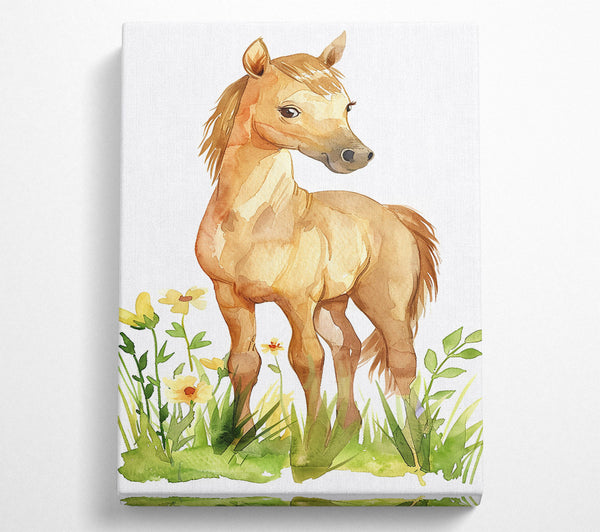 Golden Foal In Bloom