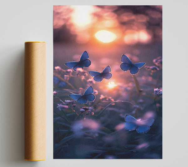 Blue Butterflies At Dusk