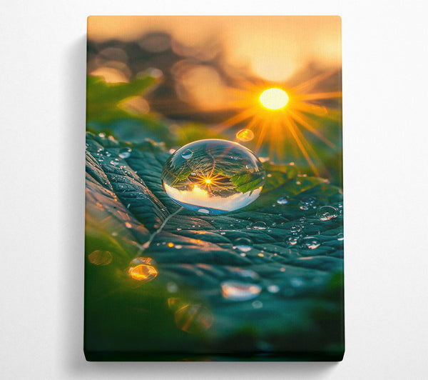 Golden Dewdrop Reflection