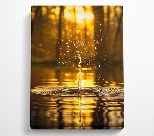 Golden Water Drop Reflection