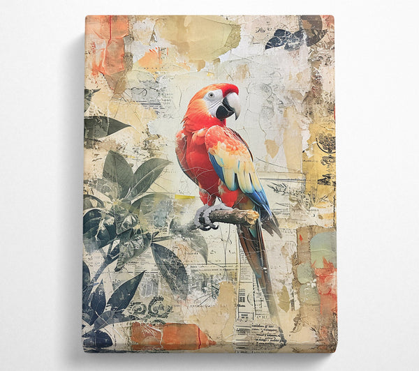 Red Parrot Collage