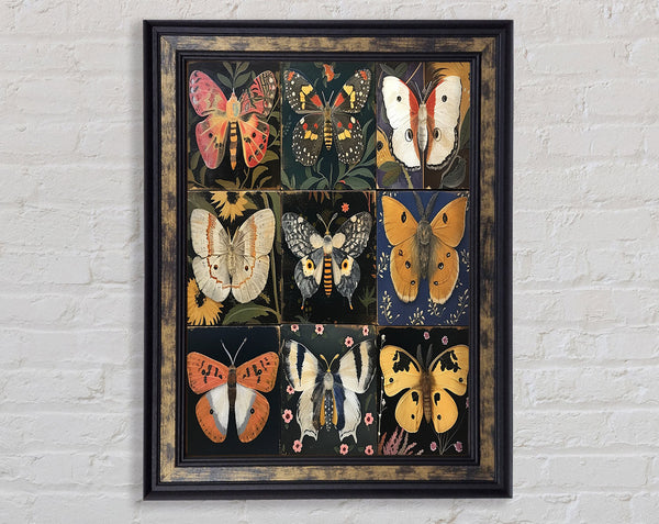 Grid Of Butterflies