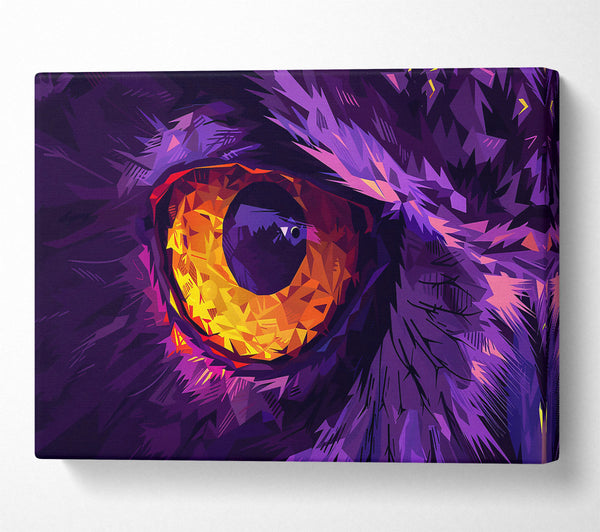 Purple Owl'S Gaze