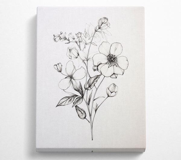 Hand Drawn Flowers