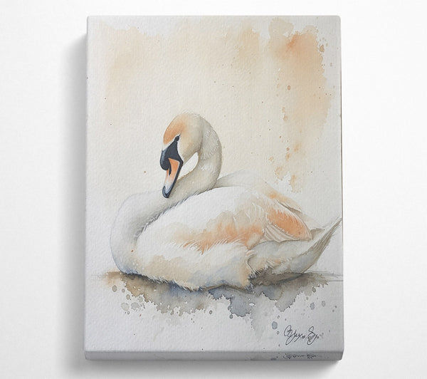 Peachy Swan Slumber