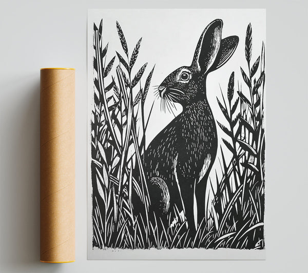 Black Hare In Grass