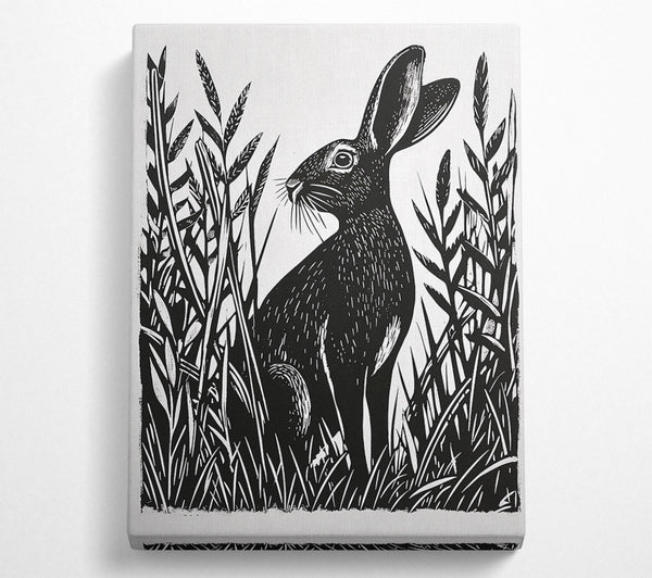 Black Hare In Grass