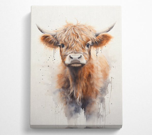 Highland Cow Watercolour