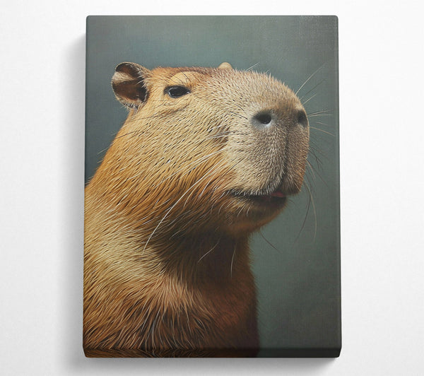 Golden Capybara Portrait