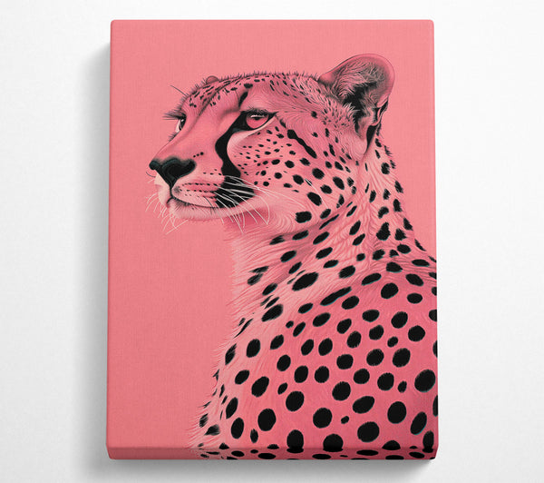 Pink Cheetah Gaze