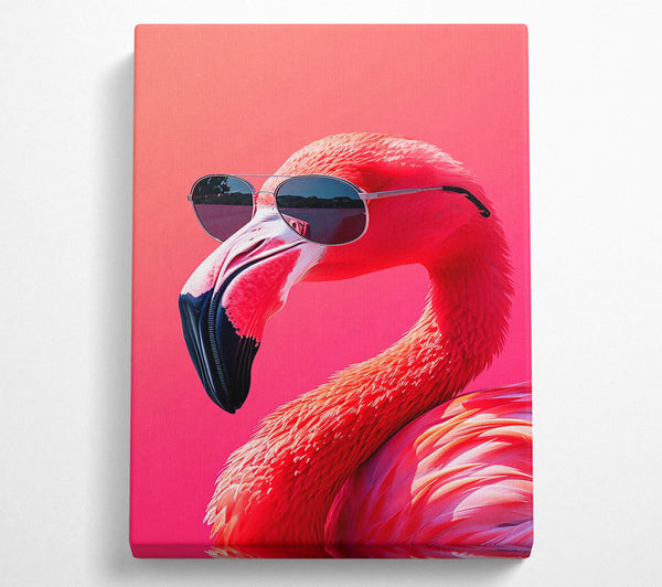 Pink Flamingo Shades