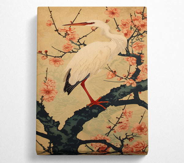 Peach And White Heron