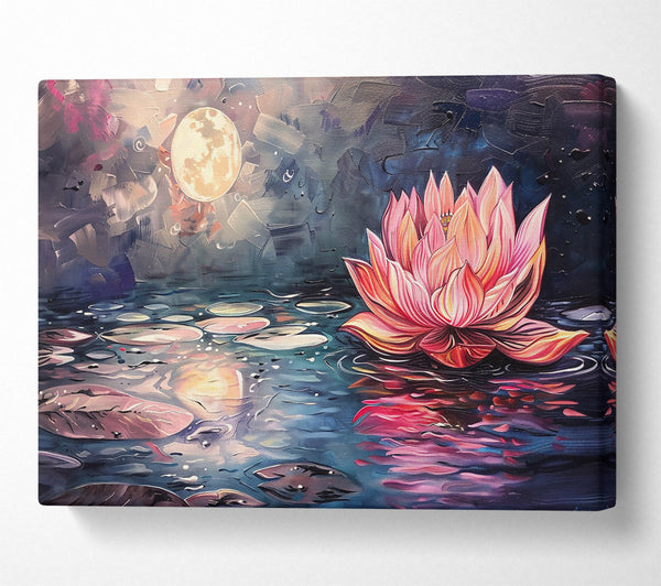 Pink Lotus Moonlit Night