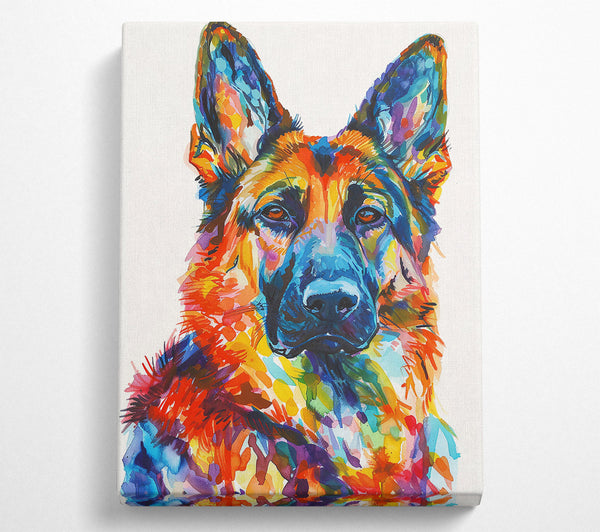 Orange German Shepherd Dream