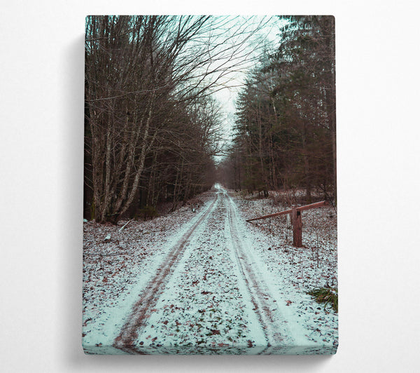 White Snow Forest Path