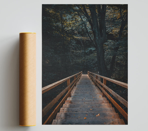 Brown Steps Through Woods