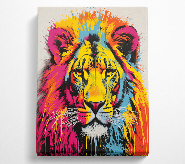 Lion Rainbow