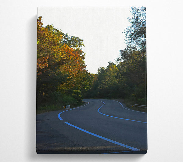 Autumn Road'S Curve