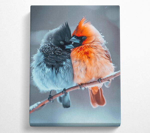 Love Birds