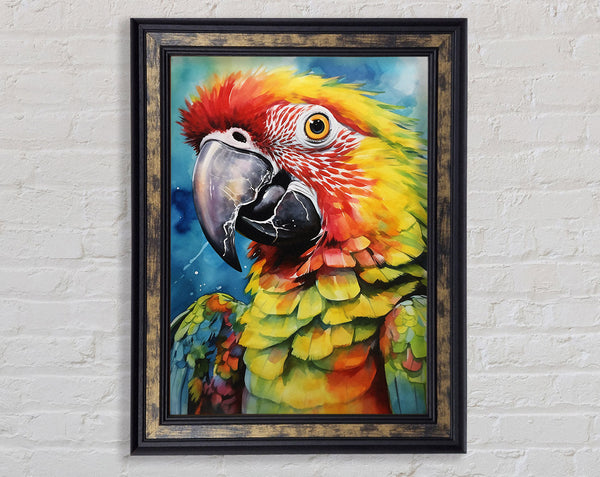 Macaw Parrot Watercolour