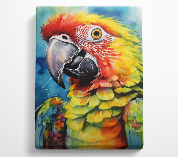 Macaw Parrot Watercolour