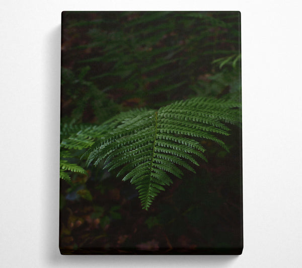 Emerald Fern Fronds