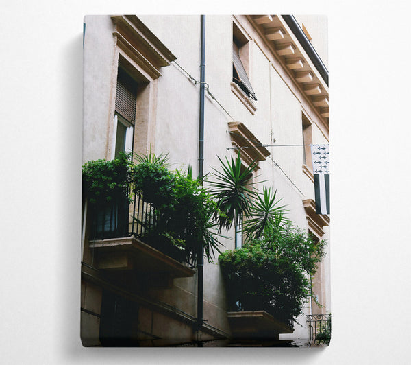 White Balcony Greenery