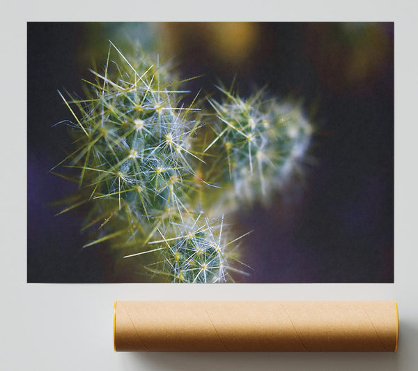 Green Prickly Blooms