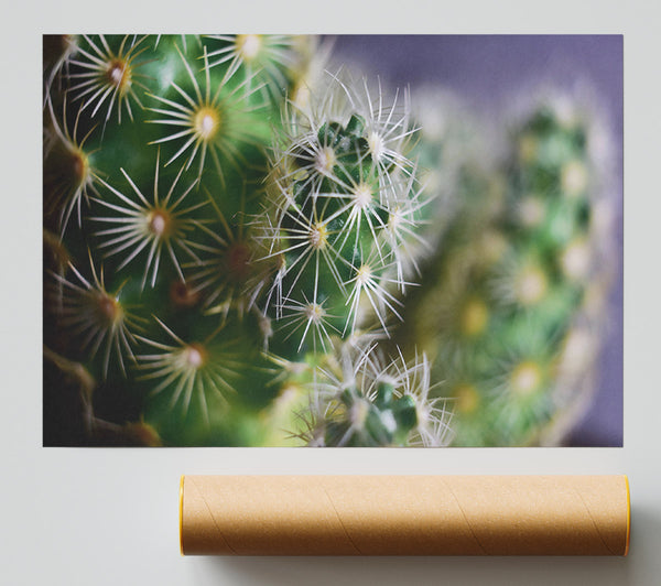 Green Prickly Clusters