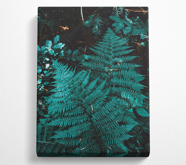 Teal Forest Ferns