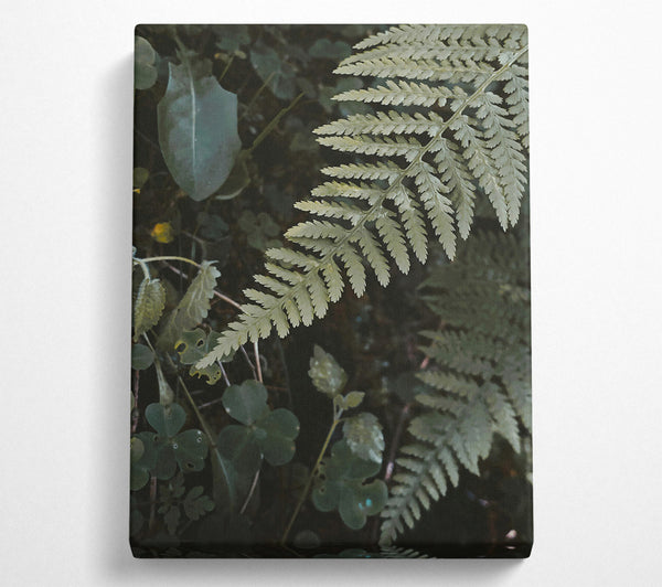 Silver Green Fern Fronds