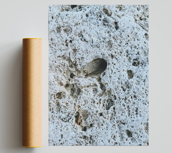 White Porous Stone