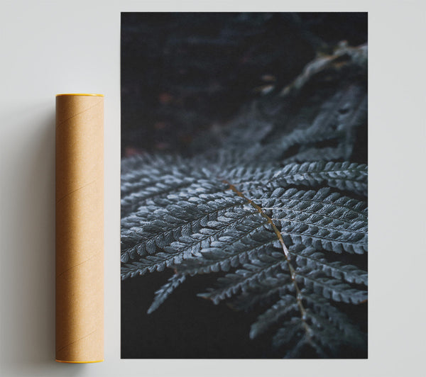 Dark Green Fern Frond