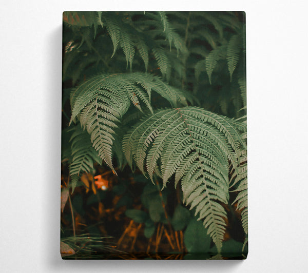 Emerald Green Ferns