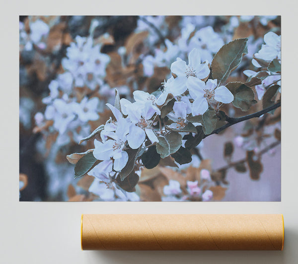 Pale Lavender Bloom