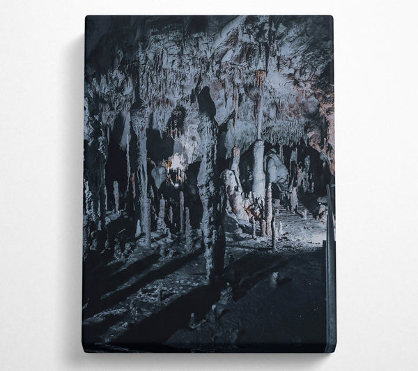 Gray Stalactite Forest