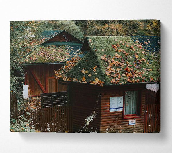 Green Mossy Rooftops